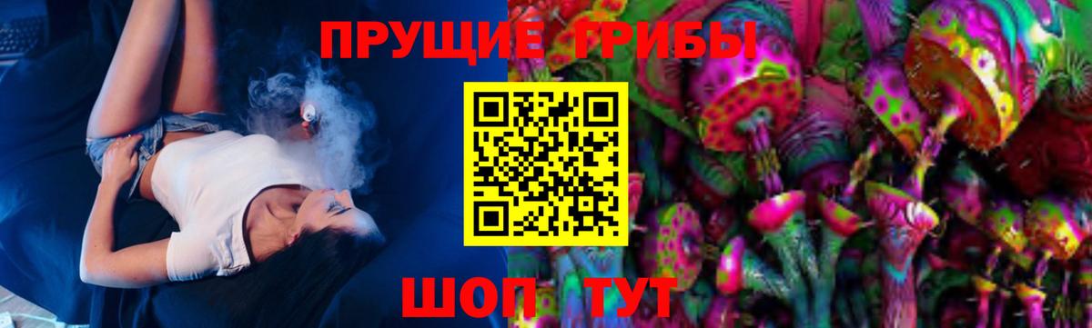 Михайловск  Псилоцибиновые грибы GOLDEN TEACHER  Вход с VPN 